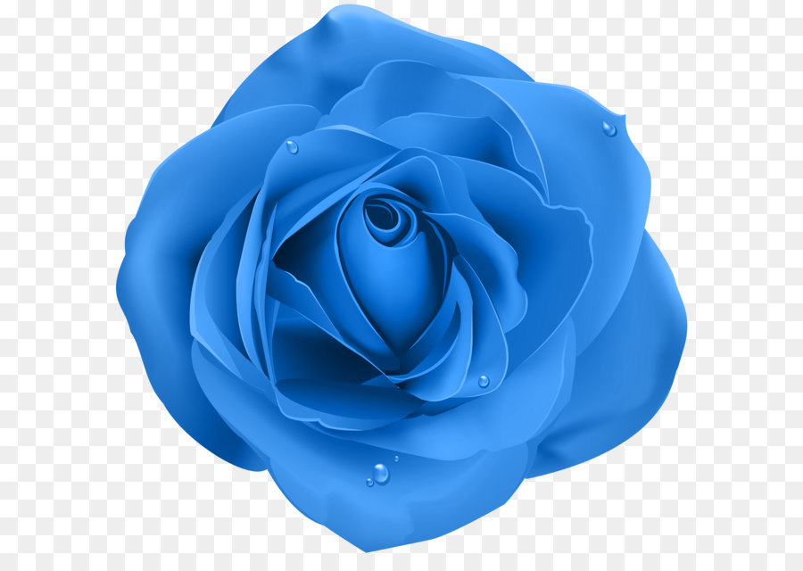 Bleu Rose Rose Fleur PNG Bleu Rose Rose Fleur Transparentes PNG