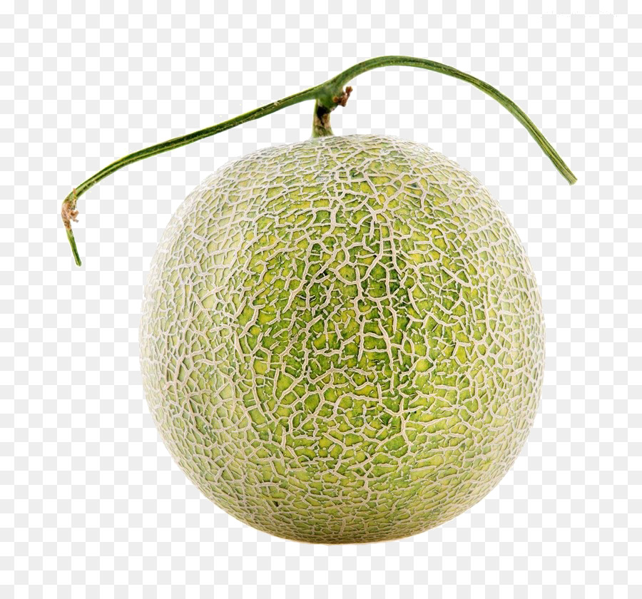 Le Miellat Cantaloup Melon Galia PNG Le Miellat Cantaloup Melon