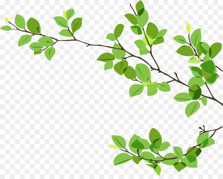 Branche Feuille Brindille Png Branche Feuille Brindille