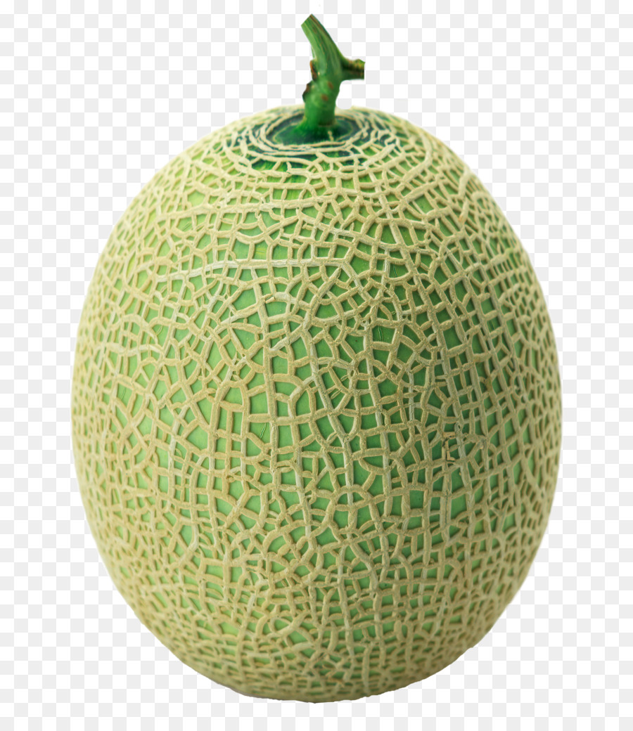 Cantaloup Le Miellat Melon De Hami Png Cantaloup Le Miellat Melon