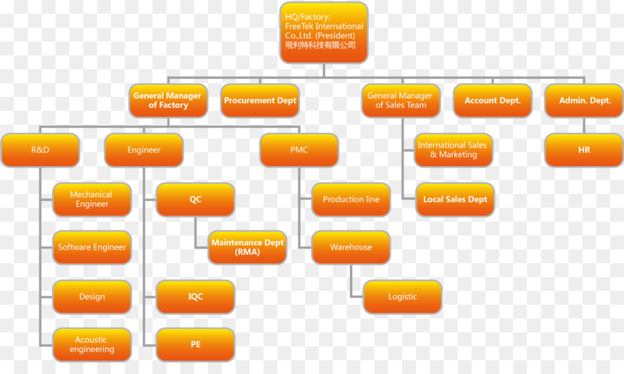 Organigramme Organisation Structure Organisationnelle Png