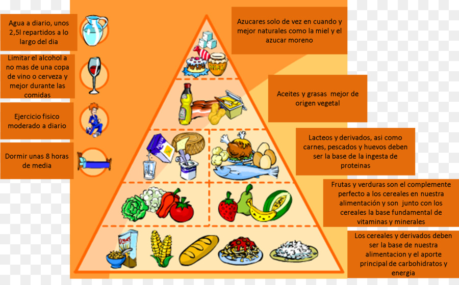 Des L Ments Nutritifs Compl Ment Alimentaire Les R Gimes