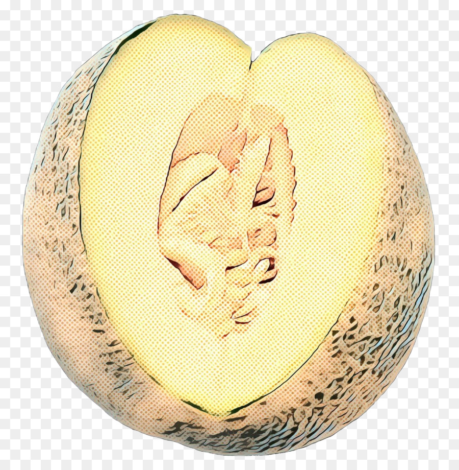 Le Miellat Cantaloup Png Le Miellat Cantaloup Transparentes Png