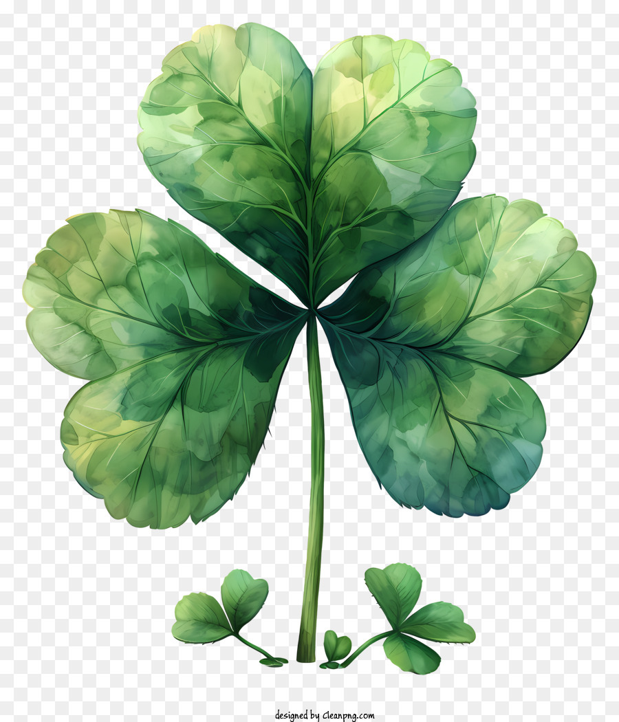 Shamrock Fourleaf Tr Fle Symbole De Bonne Chance Png Shamrock