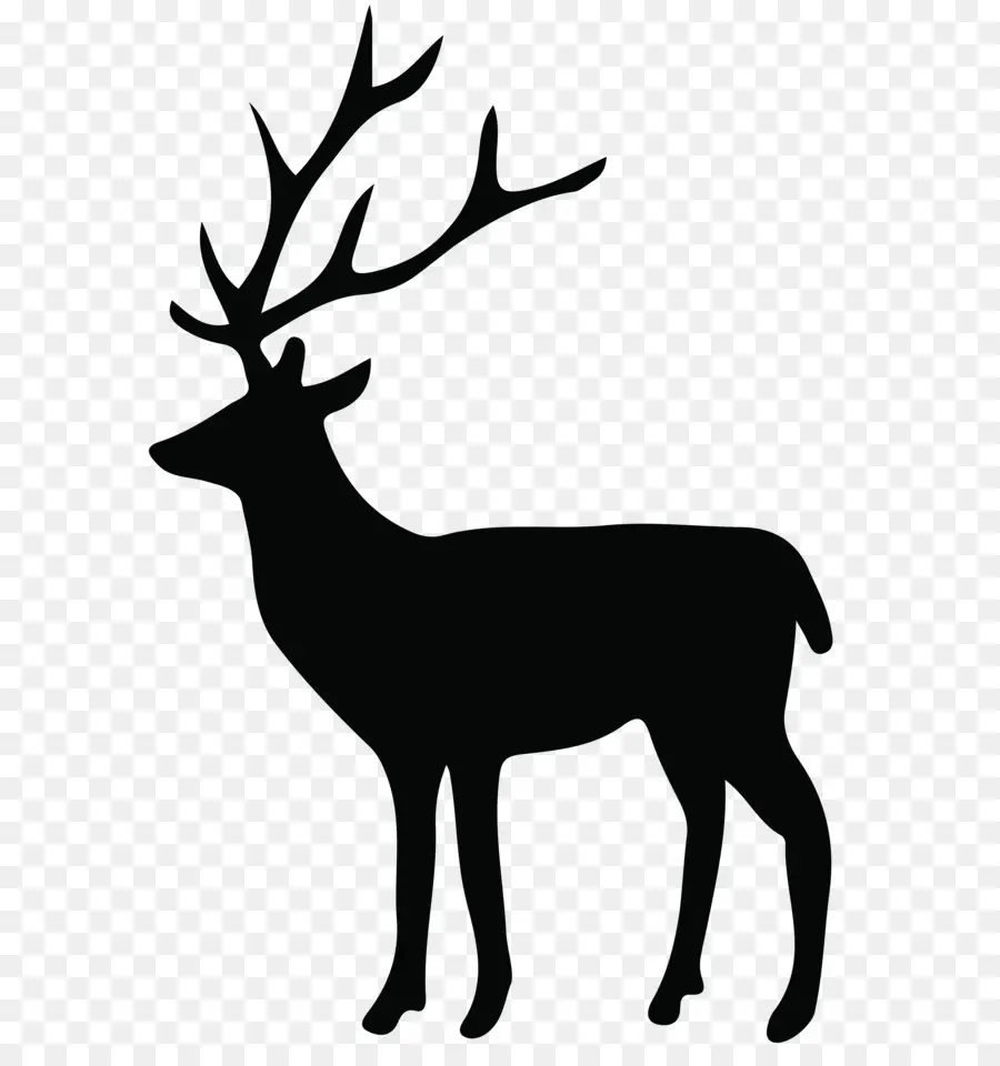 Silhouette De Cerf，Noir PNG