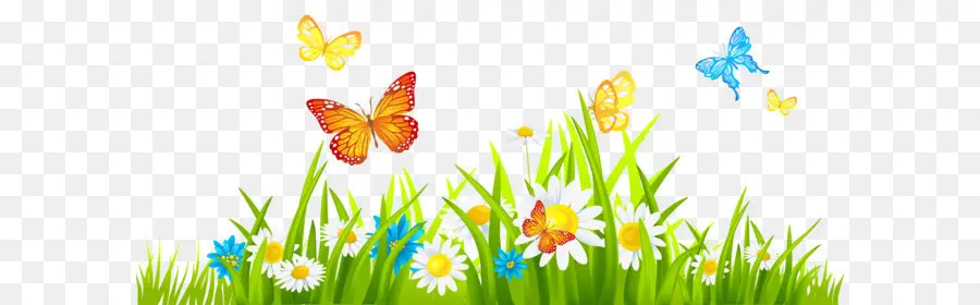 Papillons Et Fleurs，Herbe PNG