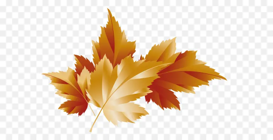 Feuilles D'automne，Automne PNG