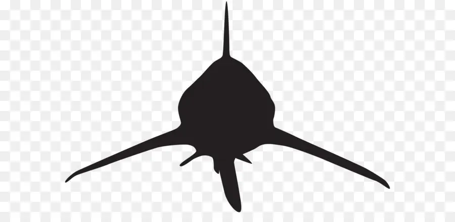 Silhouette De Requin，Noir PNG