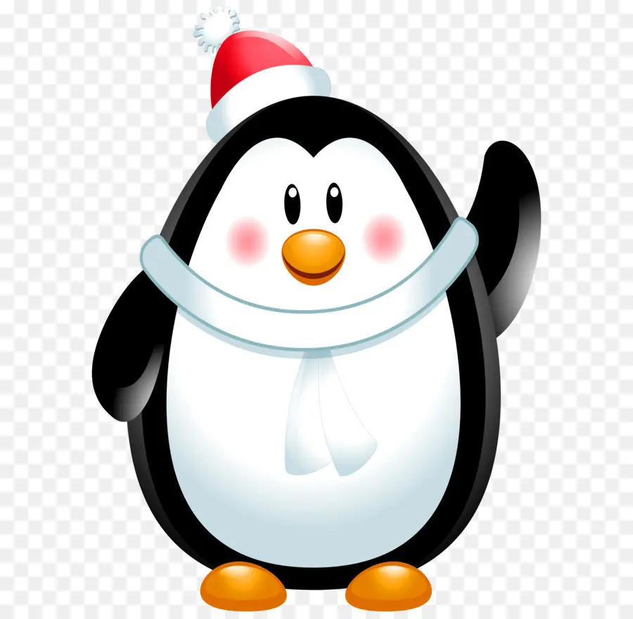 Pingouin，Oiseau PNG