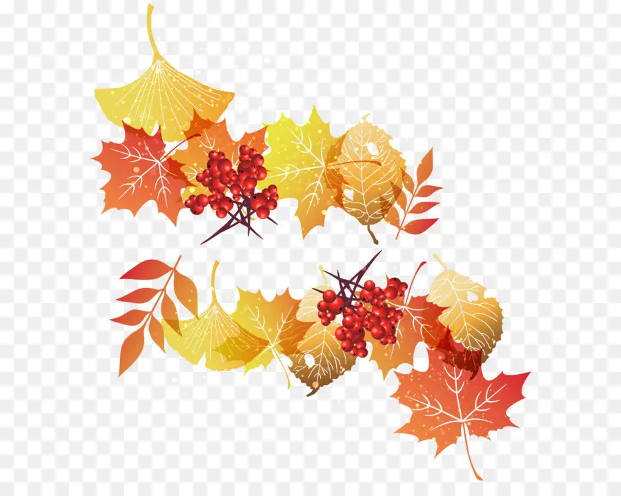 Feuille，Automne Feuille De Couleur PNG