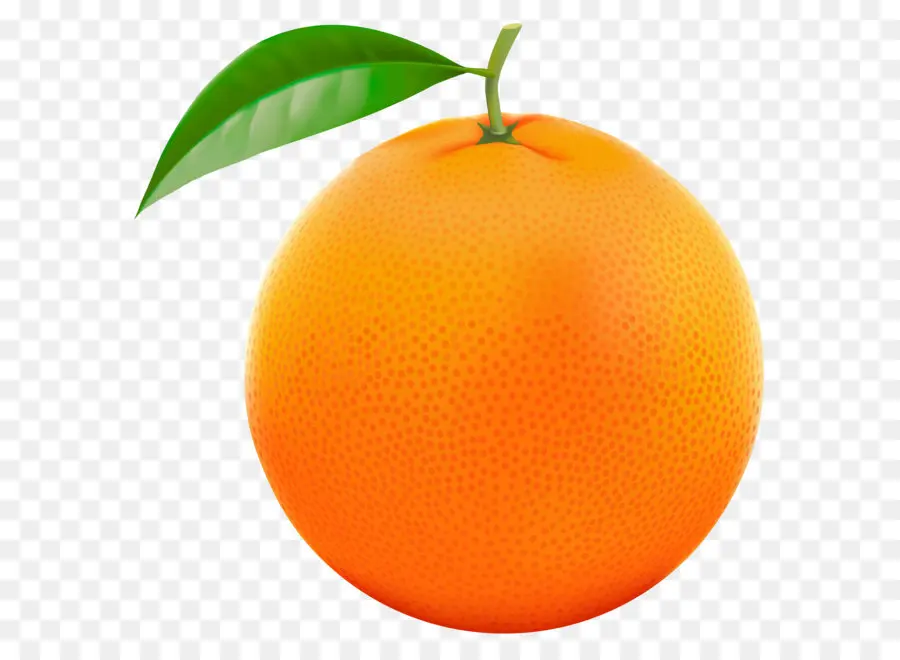 Mandarine，Pamplemousse PNG