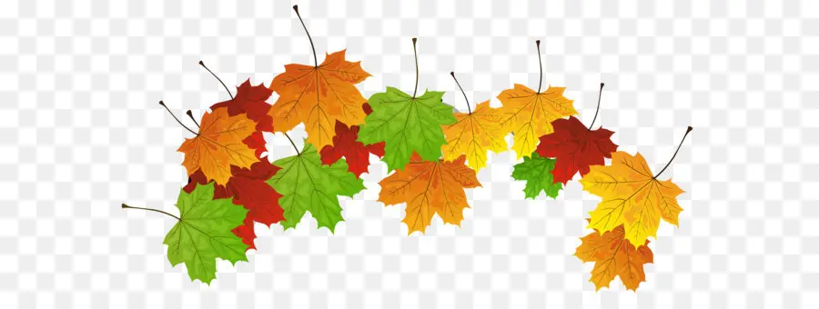 Feuilles D'automne，Automne PNG