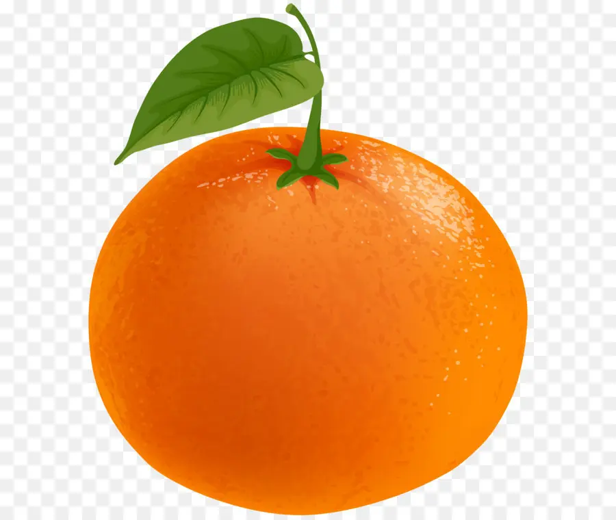 Le Mandarin Orange，Mandarine PNG