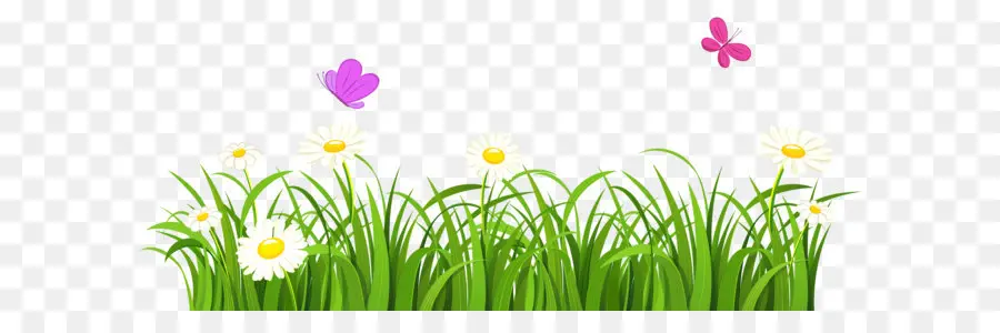 Herbe Et Fleurs，Coquelicots PNG