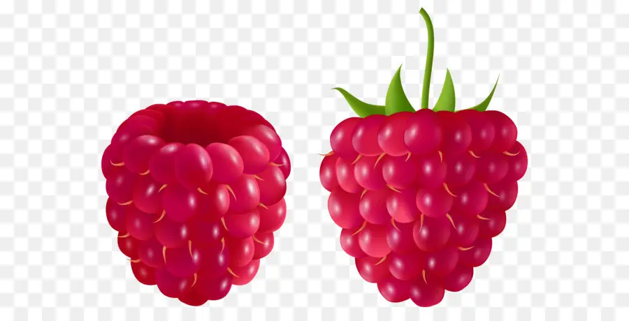 Framboise，Berry PNG