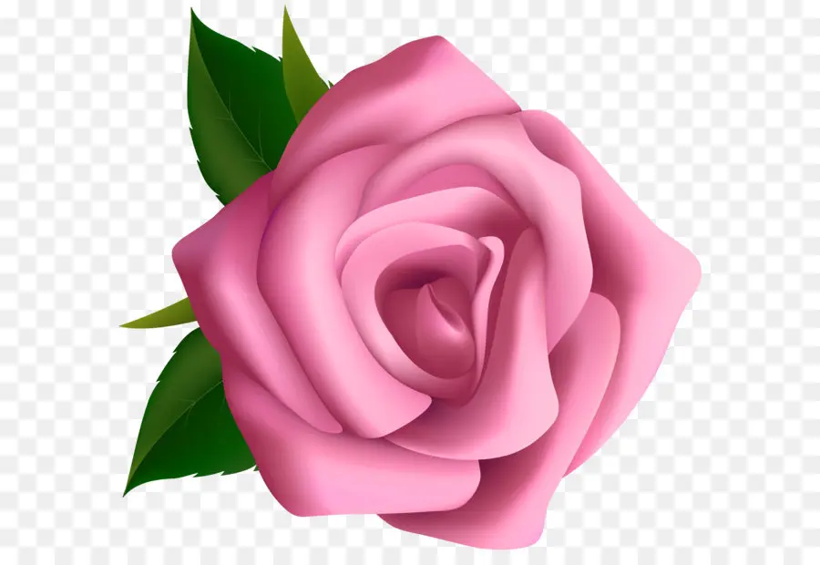 Rose Rose，Fleur PNG