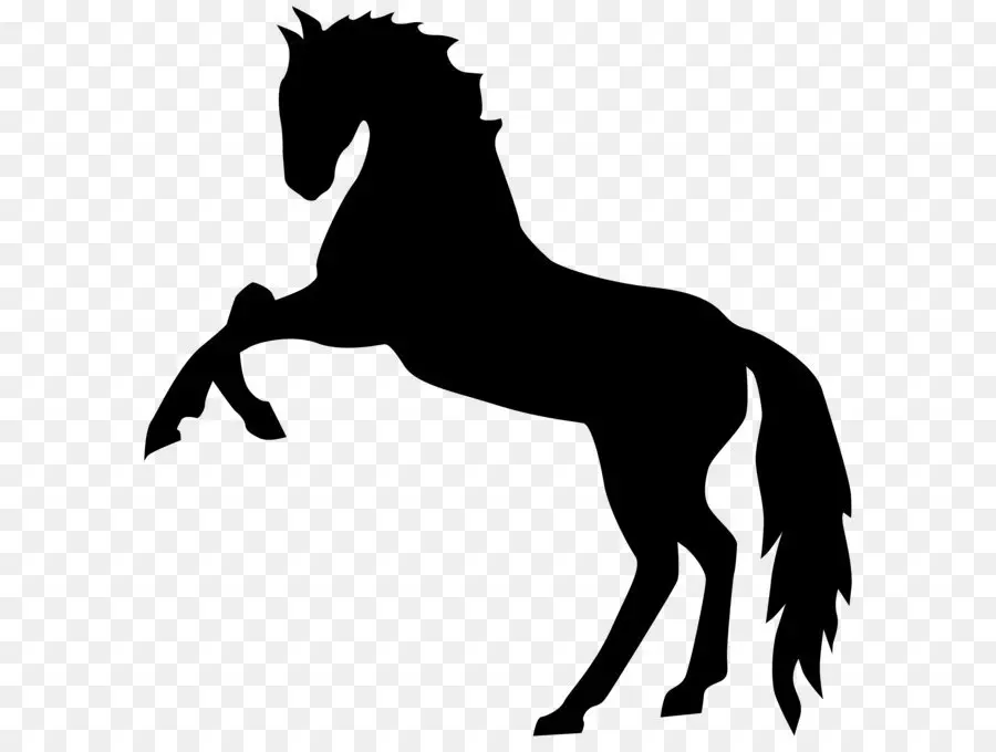 Cheval Noir，Silhouette PNG