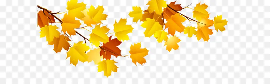 Feuilles D'automne，Automne PNG