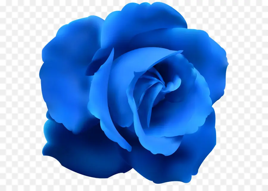 Bleu Rose，Rose PNG