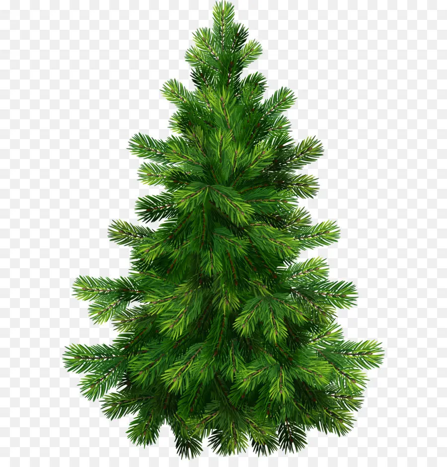 Arbre De Noël，Arbre PNG