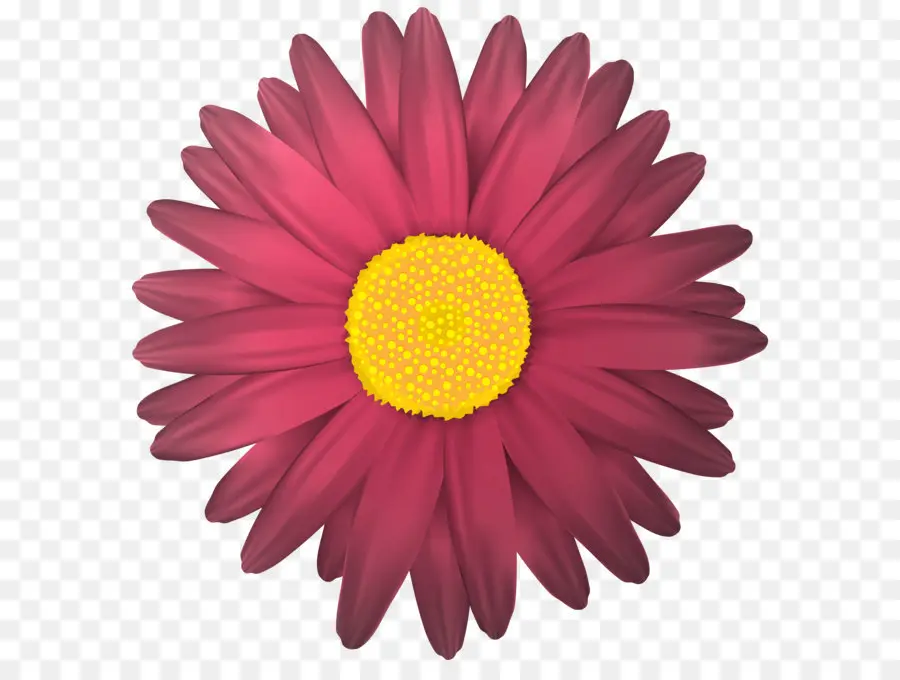 Fleur，Chrysanthème PNG
