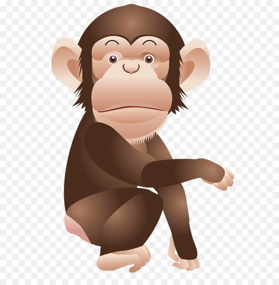 Singe De Dessin Animé，Animal PNG