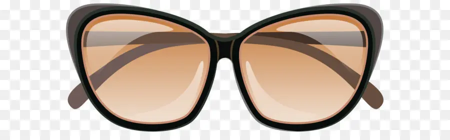 Lunettes De Soleil，Brun PNG