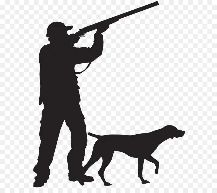 Chasse，Chien De Chasse PNG