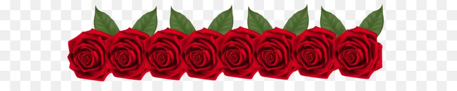 Roses Rouges，Bouquet PNG