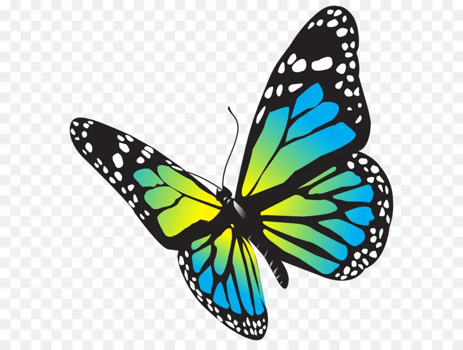 Papillon，Monarque Papillon PNG