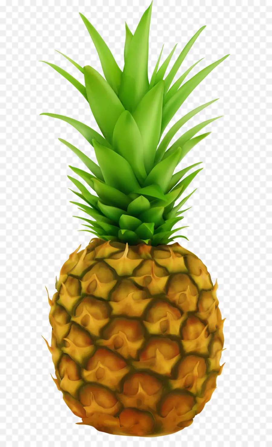 L Ananas，Sans Redevances PNG