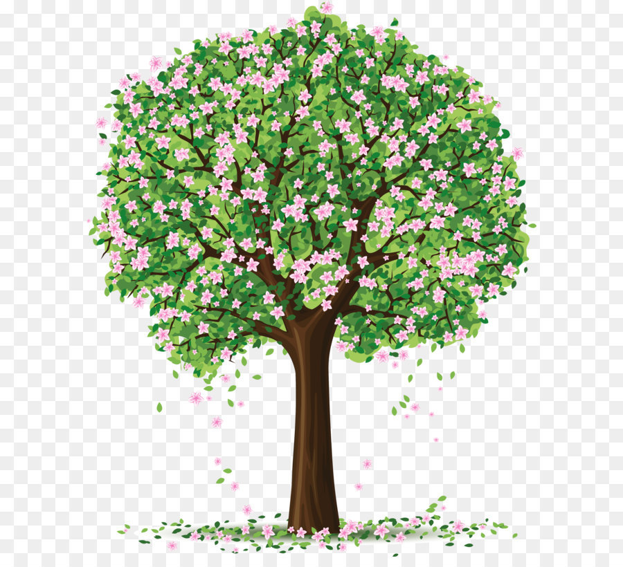 Arbre Printemps Branche Png Arbre Printemps Branche Transparentes Png Gratuit