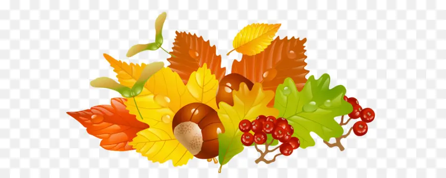 L Automne，Feuille PNG