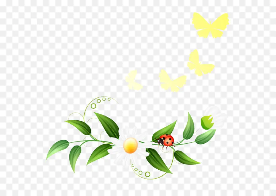 Marguerite Et Coccinelle，Fleur PNG