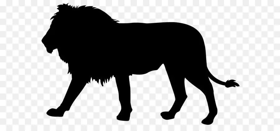 Lionhead Lapin，Lion PNG