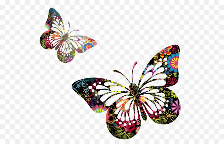 Papillon Chien，Papillon PNG