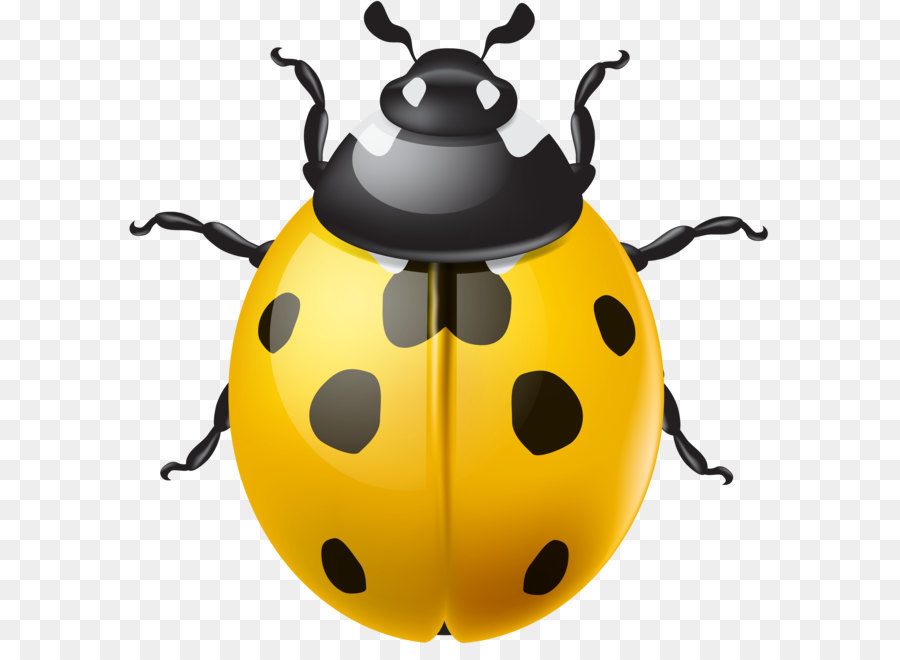 coccinelle antenne jaune png coccinelle antenne jaune transparentes png gratuit coccinelle antenne jaune png