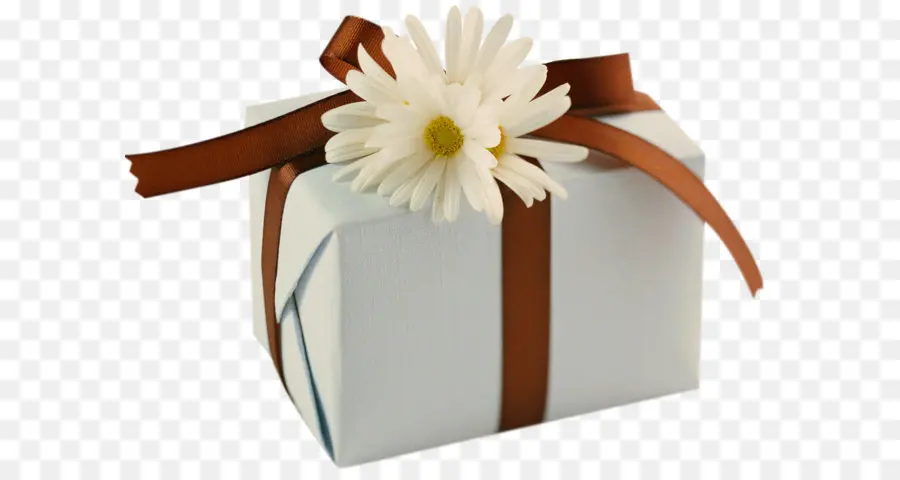 Coffret Cadeau Avec Marguerite，Présent PNG