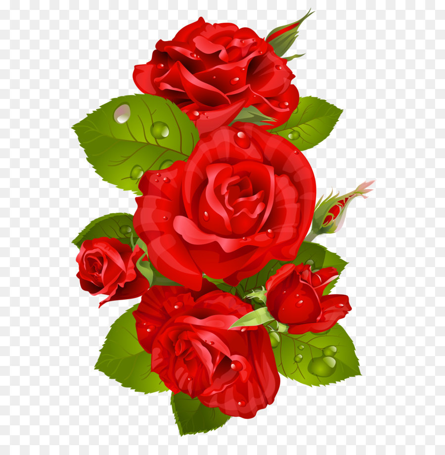 Rose Fleur Rouge Png Rose Fleur Rouge Transparentes Png Gratuit