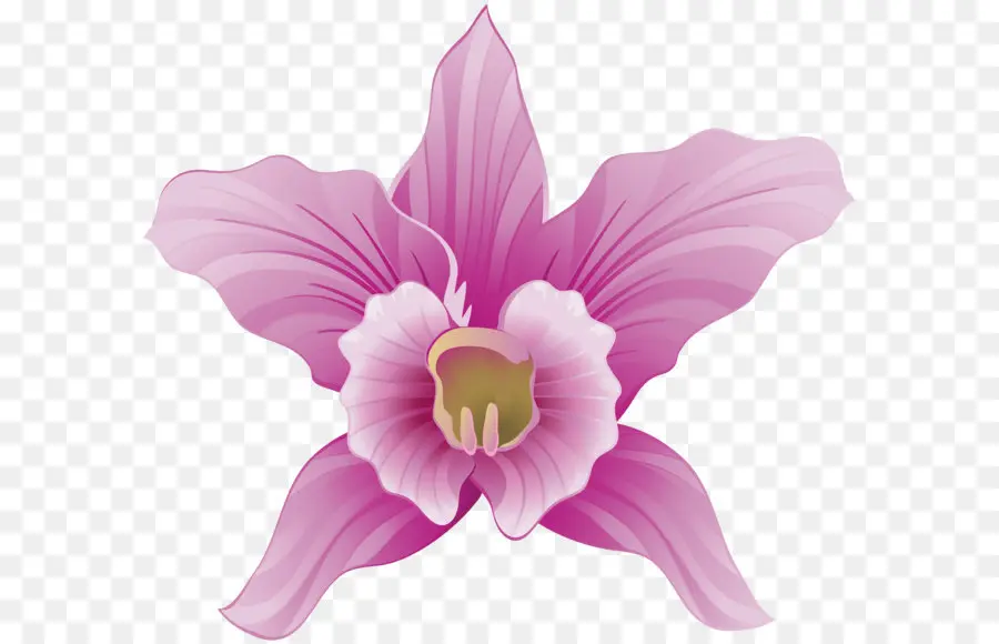 Fleur，La Floraison Plante PNG