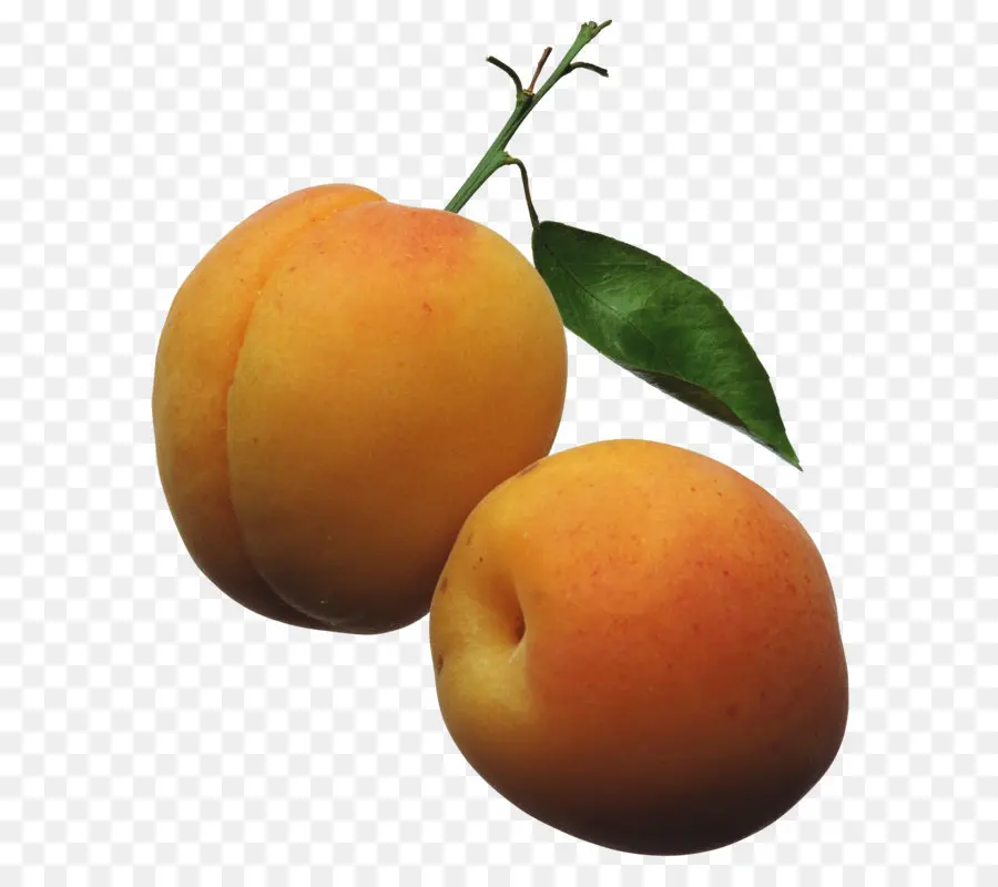 Abricot，Fruit PNG