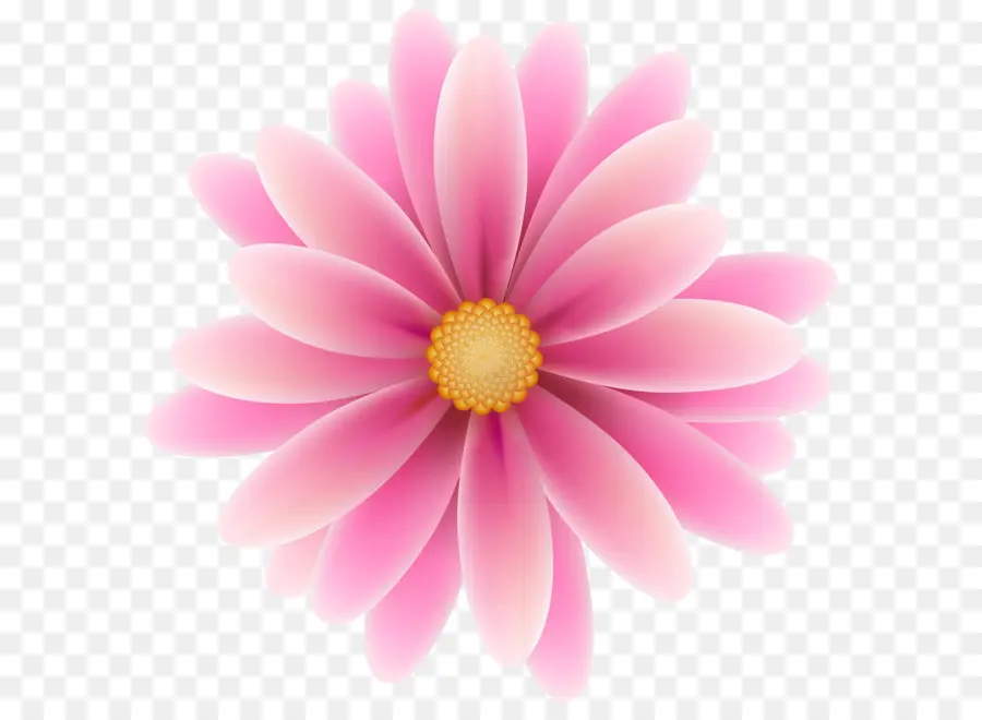 Fleur，Rose Fleurs PNG