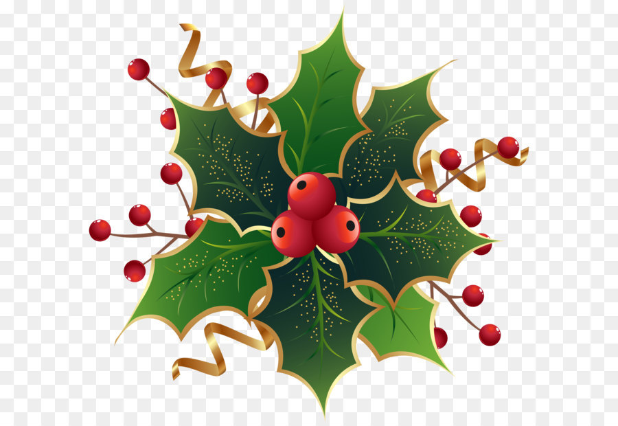 Noel Arbre Le Gui Png Noel Arbre Le Gui Transparentes Png Gratuit