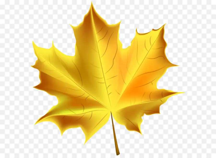 Automne，Couleur De Feuille D'automne PNG