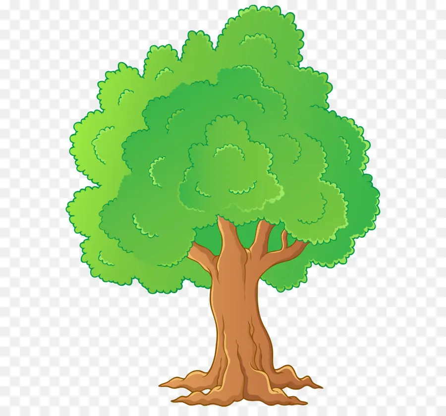 Arbre，Dessin Animé PNG