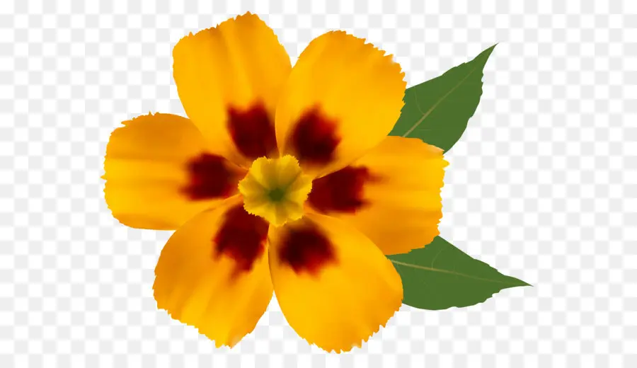 Frontière Fleurs，Fleur PNG