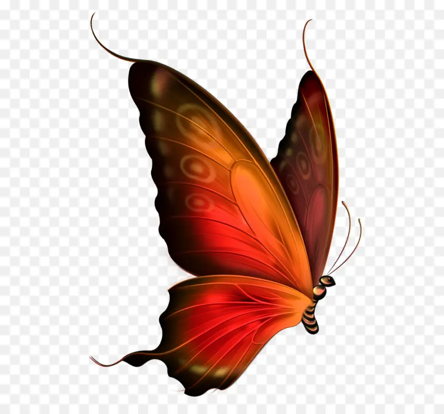 Papillon，Vanessa Cardui PNG