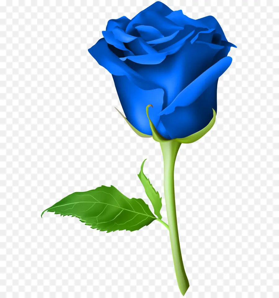 Rose，Bleu PNG