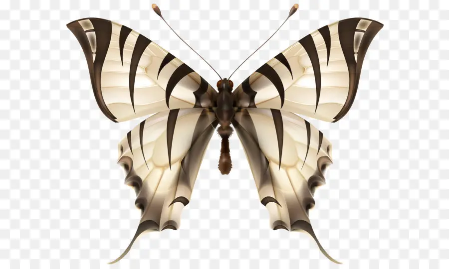 Papillon，Les Insectes PNG