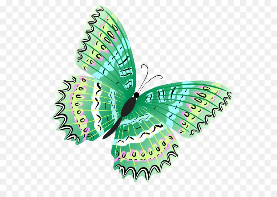 Papillon，Vert PNG